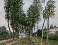 Sisley, Alfred - Lane of Poplars on the Banks of the Loing